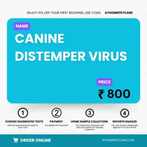 CANINE DISTEMPER VIRUS
