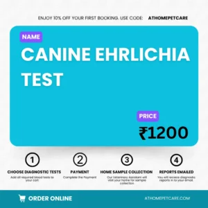 CANINE EHRLICHIA TEST