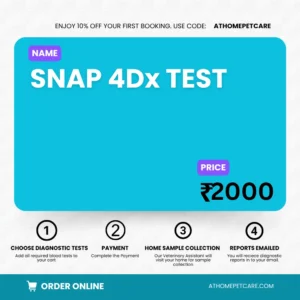 SNAP 4Dx TEST