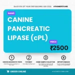 Canine Pancreatic Lipase (cPL) Test – Diagnosis of Pancreatitis in Dogs