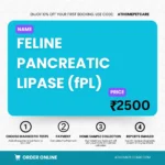 Feline Pancreatic Lipase (fPL) Test for Cats