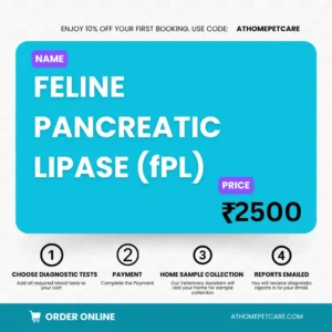 Feline Pancreatic Lipase (fPL) Test for Cats