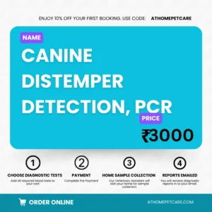 CANINE DISTEMPER DETECTION, PCR