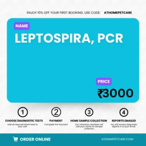 Leptospira PCR Test for Dogs and Cats in Hyderabad
