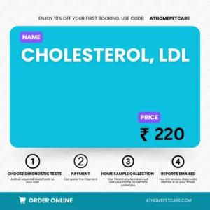 CHOLESTEROL, LDL