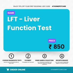 LFT - Liver Function Test