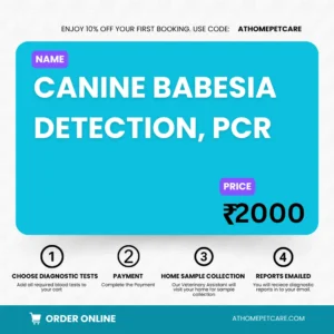Canine Babesia Detection PCR Test for Dogs