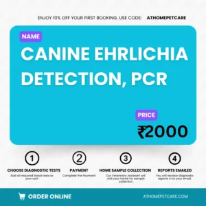 Canine Ehrlichia Detection PCR Test – Ehrlichiosis in Dogs