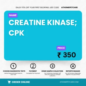 CREATINE KINASE; CPK