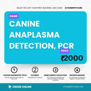 CANINE ANAPLASMA DETECTION, PCR