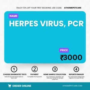 HERPES VIRUS, PCR