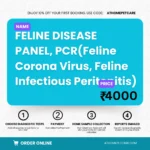 Feline Disease Panel PCR FCoV FIP Test for Cats