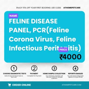 Feline Disease Panel PCR FCoV FIP Test for Cats