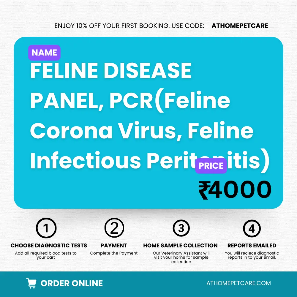 Feline Disease Panel PCR FCoV FIP Test for Cats