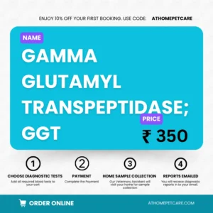 GAMMA GLUTAMYL TRANSPEPTIDASE; GGT