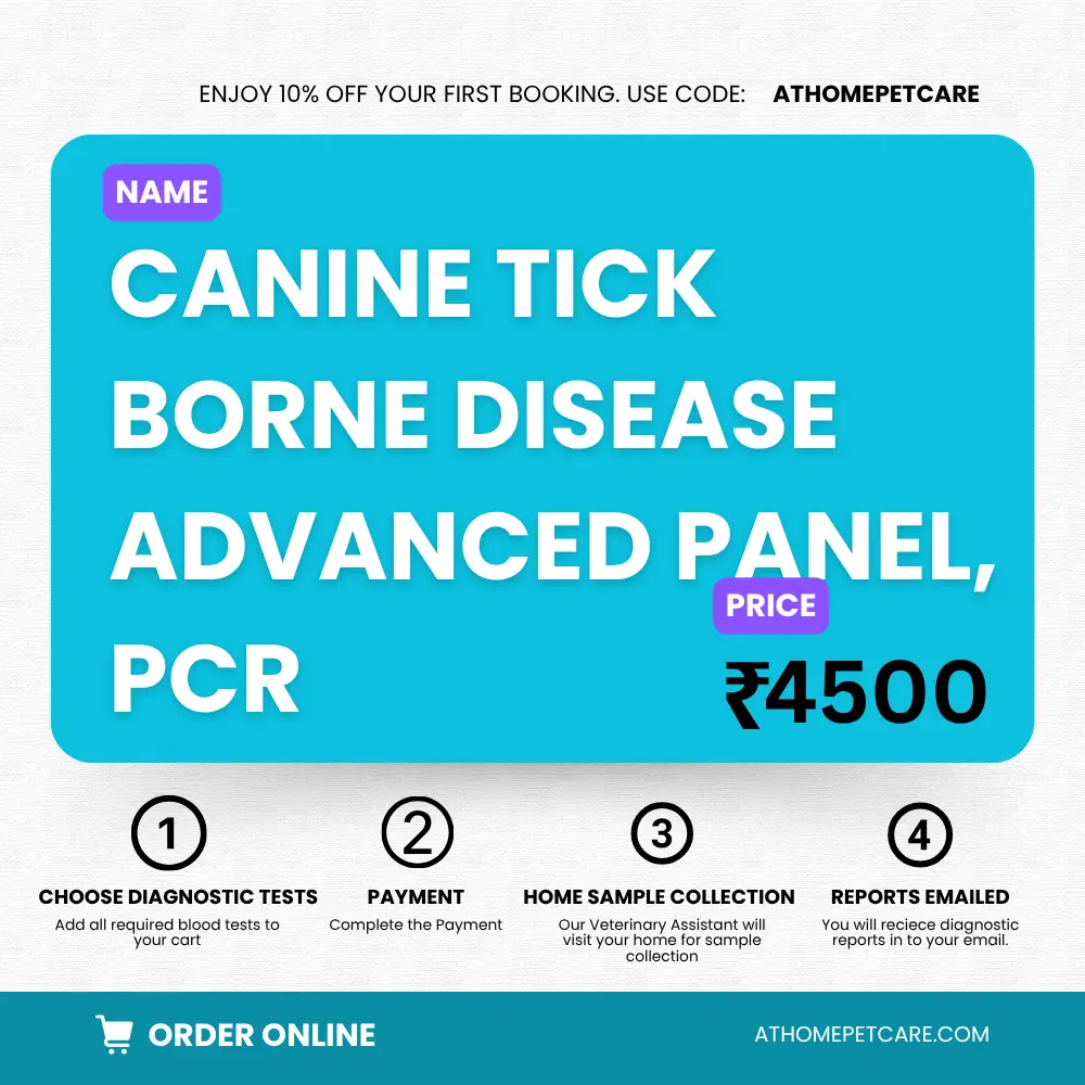 CANINE TICK BORNE DISEASE ADVANCED PANEL, PCR (Babesia, Ehrlichia, Hepatozoon, Anaplasma)