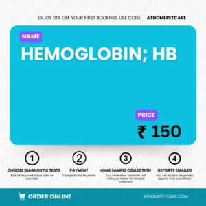 HEMOGLOBIN; HB