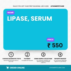 LIPASE, SERUM