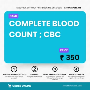 CBC - Complete Blood Count