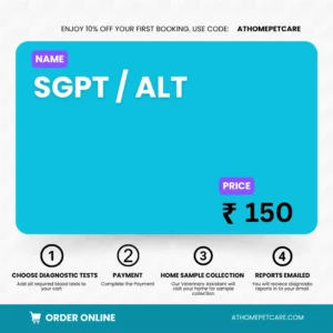 SGPT / ALT