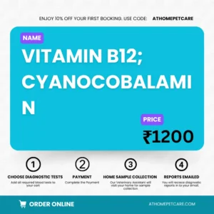 VITAMIN B12; CYANOCOBALAMIN