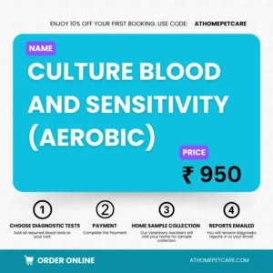 CULTURE BLOOD AND SENSITIVITY (AEROBIC)