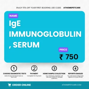IgE IMMUNOGLOBULIN, SERUM