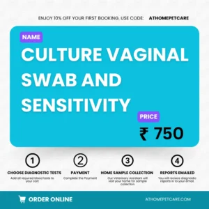 CULTURE VAGINAL SWAB AND SENSITIVITY