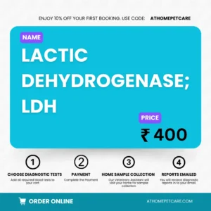 LACTIC DEHYDROGENASE; LDH