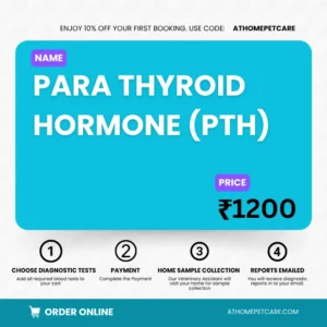 PARA THYROID HORMONE (PTH)