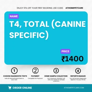 T4, TOTAL (CANINE SPECIFIC)
