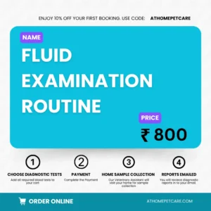 FLUID EXAMINATION ROUTINE