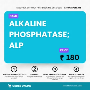 ALKALINE PHOSPHATASE; ALP