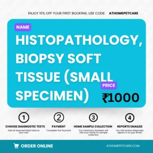 HISTOPATHOLOGY, BIOPSY SOFT TISSUE (SMALL SPECIMEN)