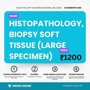HISTOPATHOLOGY, BIOPSY SOFT TISSUE (LARGE SPECIMEN)