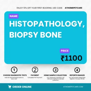 HISTOPATHOLOGY, BIOPSY BONE