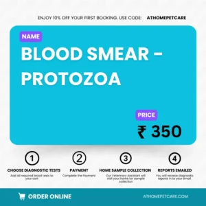 BLOOD SMEAR - PROTOZOA