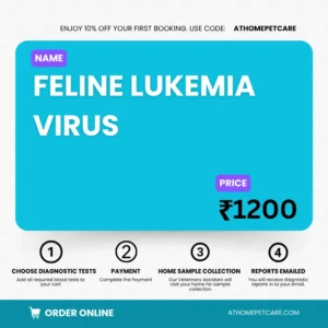 FELINE LUKEMIA VIRUS