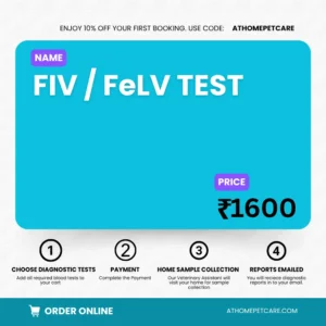 FIV / FeLV TEST